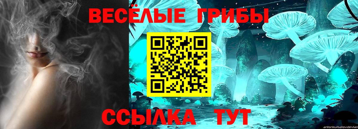 Галлюциногенные грибы прущие грибы Шебекино